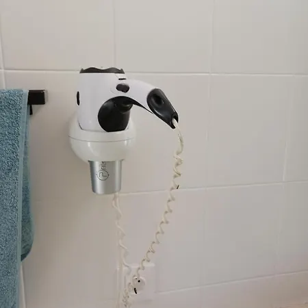 Chillout Albatros In Toller Anlage Mit Pool